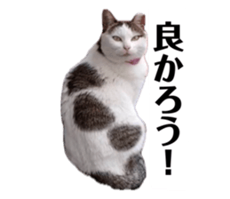 857740943