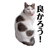 857740943