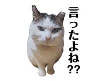 857740944
