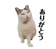 857740945