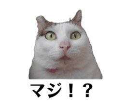 857740947