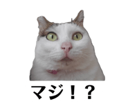 857740947