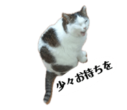 857740948