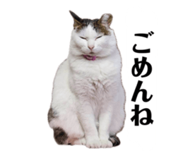 857740949
