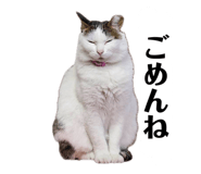 857740949