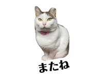 857740952