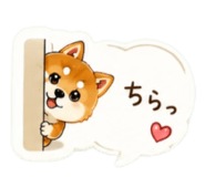 857742604