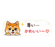 857742623