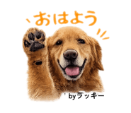 857744401