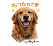 857744406