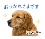 857744407