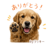 857744412