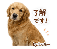 857744416