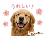 857744421