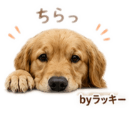 857744423