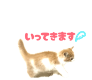 857745877