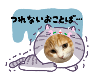 857745892