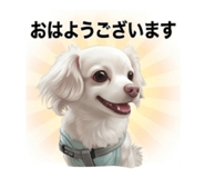 857746401