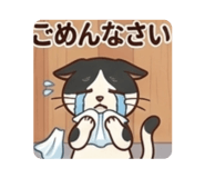 857746587