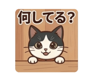 857746593