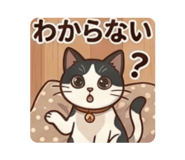 857746599