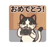 857746614