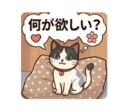 857746616