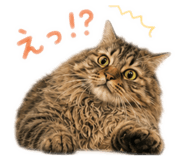857746751