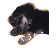 857748009