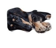 857748012