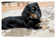 857748023