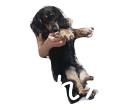 857748028