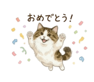 857748737