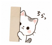 857748898