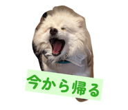857749009