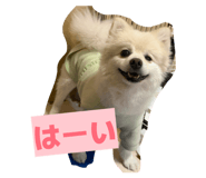 857749013