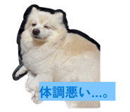 857749014