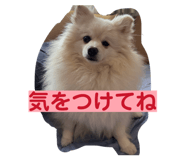 857749016