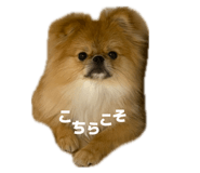 857749475