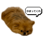 857749488