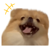 857749489
