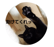 857750737