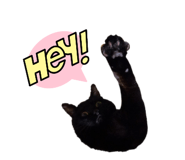857750755