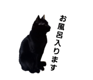 857750770