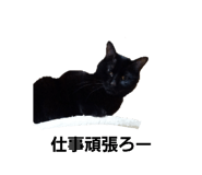 857750775