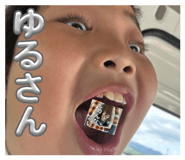 857751261