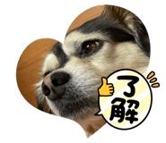 857751425