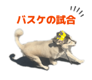 857751429