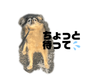 857751431