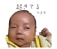 857752028